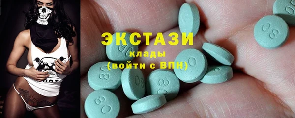 таблы Гусев