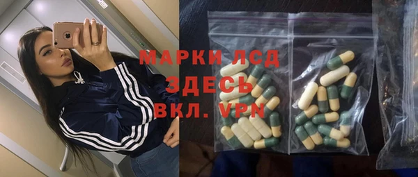 таблы Гусев