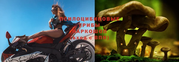 бошки Горно-Алтайск