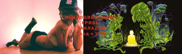 таблы Гусев