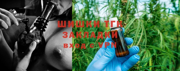 ECSTASY Богородицк